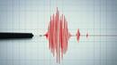 Земетресение с магнитуд 4,6 по Рихтер е регистрирано в Турция