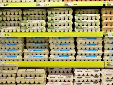 Цената на яйцата за Великден няма да се повиши и ще се запази на сегашните си нива