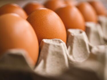 Изчезнали са 2,5 млн. яйца внос от Украйна, алармират от Съюза на птицевъдите