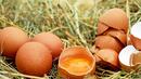 Украинските яйца са безопасни, показаха резултатите на БАБХ