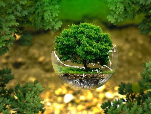 Световният ден на околната среда отбелязван на 5 юни всеки
