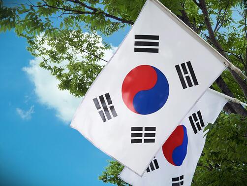 Правителството на Южна Корея изпрати самолет с военна помощ за