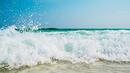 До 41 пъти над нормата са замърсени плажове по Южното Черноморие