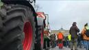 10 000 земеделци се събраха в сърцето на Берлин