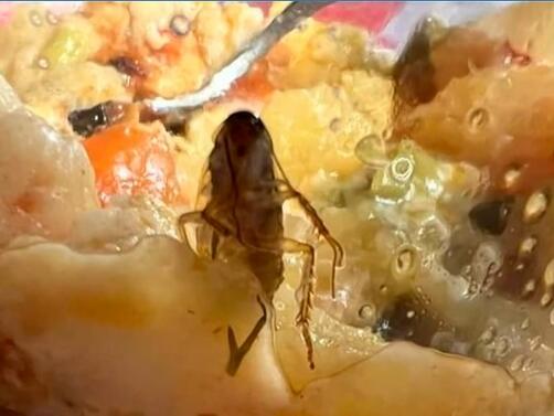 Хлебарки в детска кухня Майка открила насекомо в купичката с