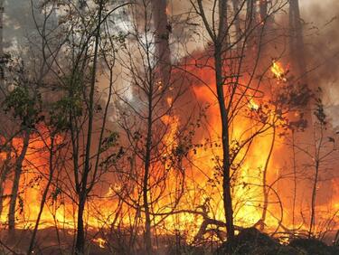Над 70 горски пожара за последните под 100 часа