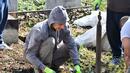Доброволци разчистват от храсти и боклуци Централни софийски гробища