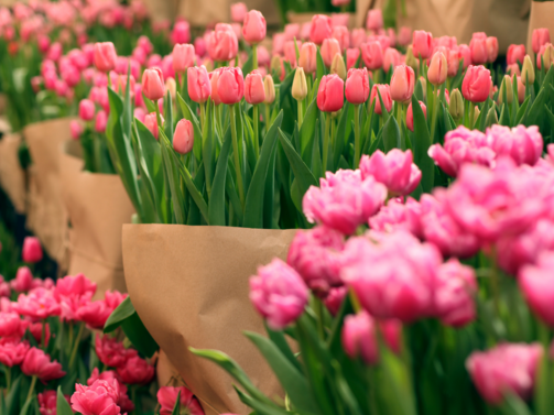 На осми март цветята остават най предпочитаният подарък Тази година цените