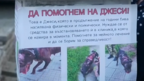 Мъж преби жестощко кучето си на улицата в Пловдив, ученици спасиха четирногото