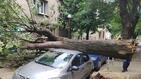 Дърво падна върху кола до на 5-о РПУ в София
