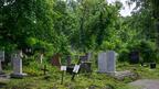 Започна косенето и премахването на храсти и клони в зелените площи на Централните софийски гробища