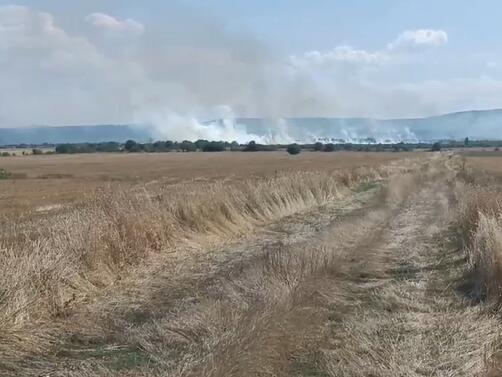 Полски пожар гори под рибарниците в село Нови хан, в