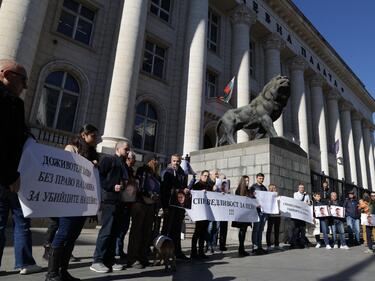 Близки на убития Пейо Пеев излязоха на протест