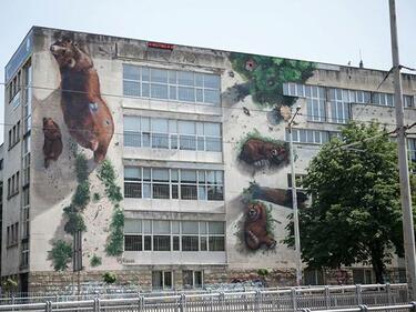 Огромна кафява мечка се намести върху фасадата на столично училище