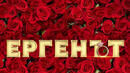 Още три участнички влизат в истинския "Ерген"

