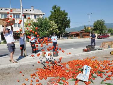 Зеленчукопроизводители изсипват 10 тона домати на пътя