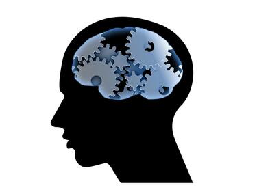 Мозъците ни разполагат с три нива на работна памет
