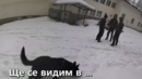 Убийства, самоубийства или религиозни практики: Случаят „Петрохан“ раздели обществото
