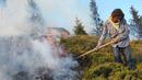 1000 декара жито изгоряха край Хасковско