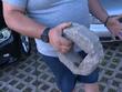 Паве от паркинг се заби в кола в София: Шофьорът с щети за стотици евро, ще търси правата си в съда