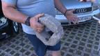 Паве от паркинг се заби в кола в София: Шофьорът с щети за стотици евро, ще търси правата си в съда