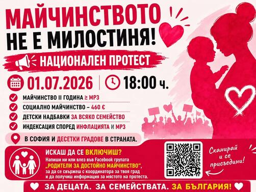 Майчинството не е милостиня Под този лозунг се организират протести