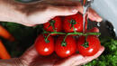 Изкупната цена на доматите паднала с 60,5%