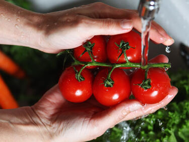 Изкупната цена на доматите паднала с 60,5%