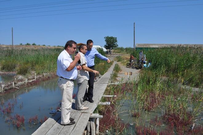 Облагородяват бургаските солници
