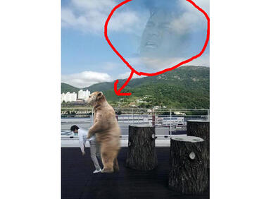Бруталните корейски фотобомби