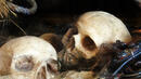 Потресаващо! Намериха 56 черепа и 55 кости в дома на мъж