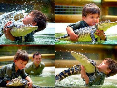 Вижте как 3-годишно австралийско хлапе лови алигатор
